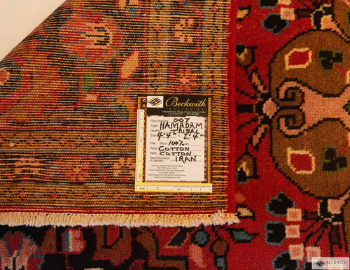 Hamadam 2'4" x 4'4"