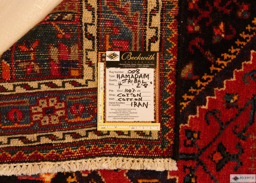 Hamadam 2'8" x 4'0"