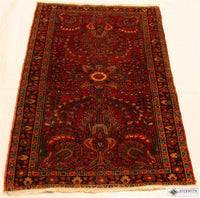 Sarouk 311 X 21 Rug