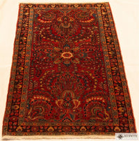 Sarouk 311 X 21 Rug