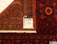 Sarouk 311 X 21 Rug