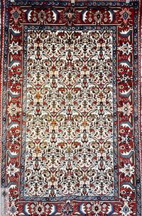 Bakhtiari Cream