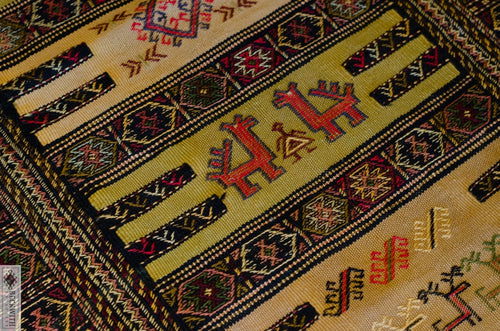 Ghouchan Kilim 57 X 32 Rug