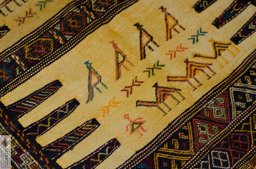 Ghouchan Kilim 57 X 33 Rug