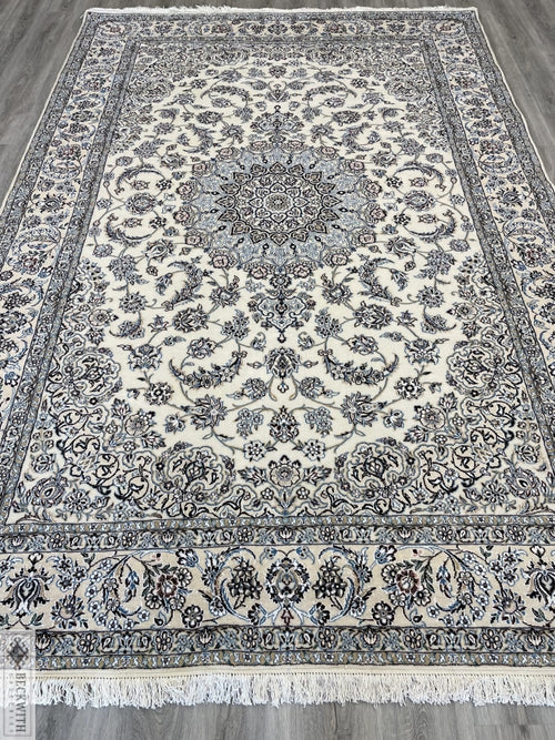 Naeen 911 X 67 Rug