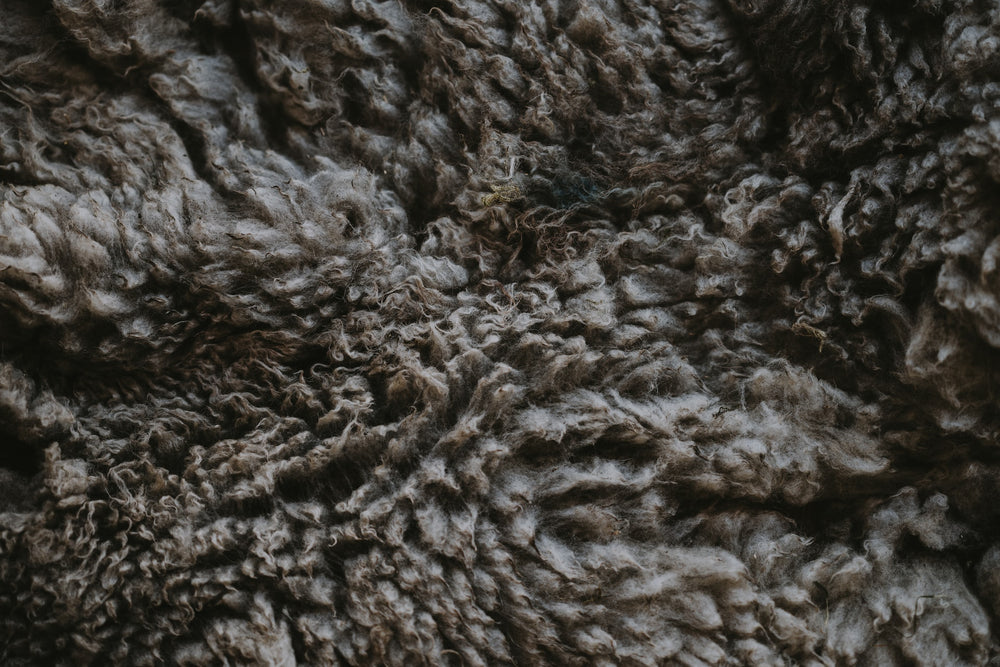 Dark sheep fleece texture. Photographer © Annie Spratt.