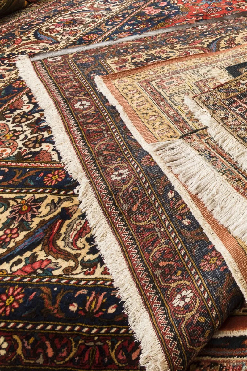 Carpet gallery deals